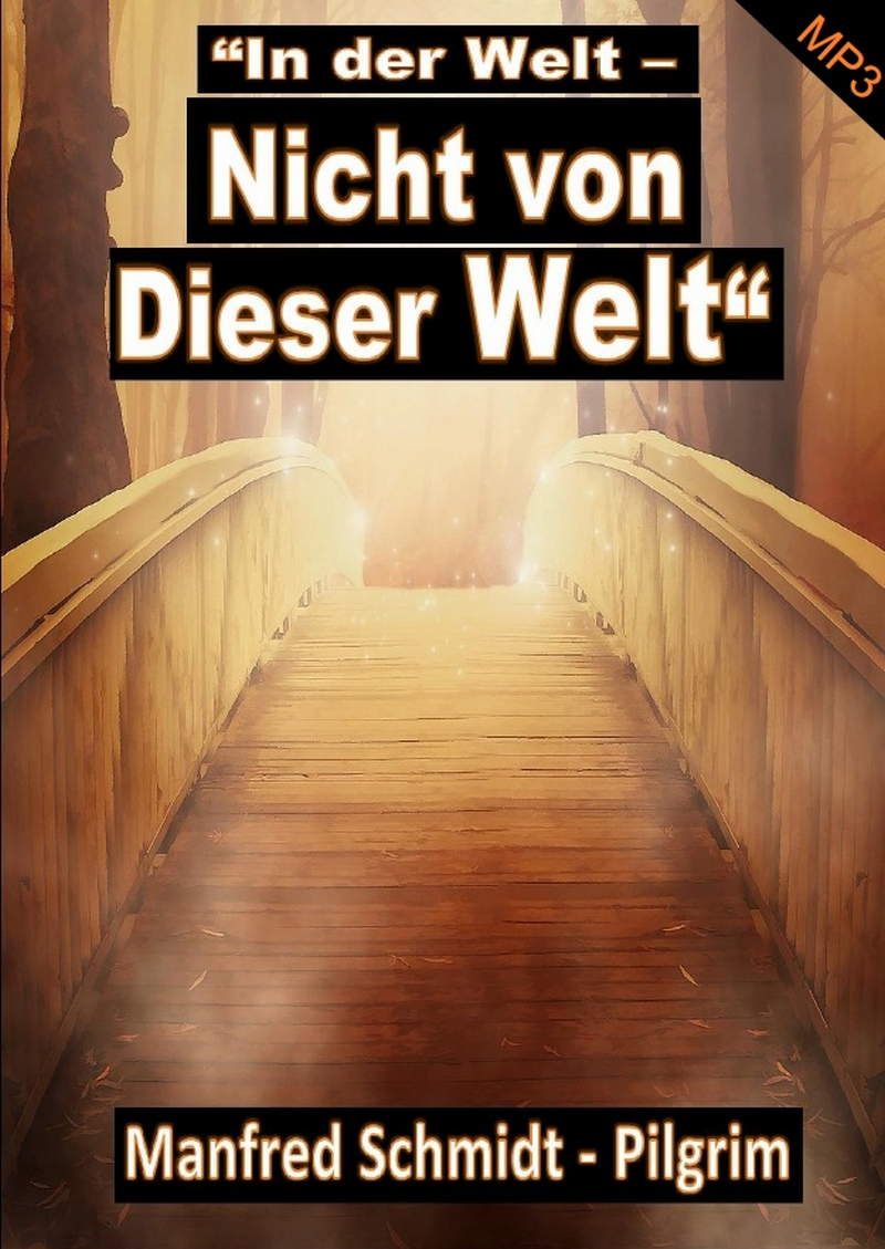 Musik CDs - Manfred Schmidt: In der Welt - Nicht von dieser Welt (MP3)