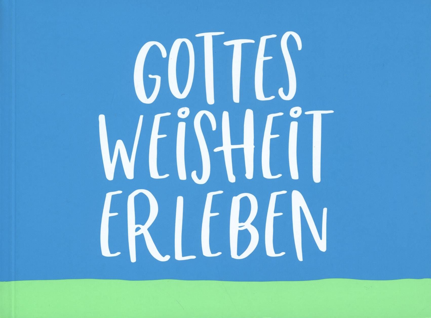 Joyce Meyer: Gottes Weisheit erleben