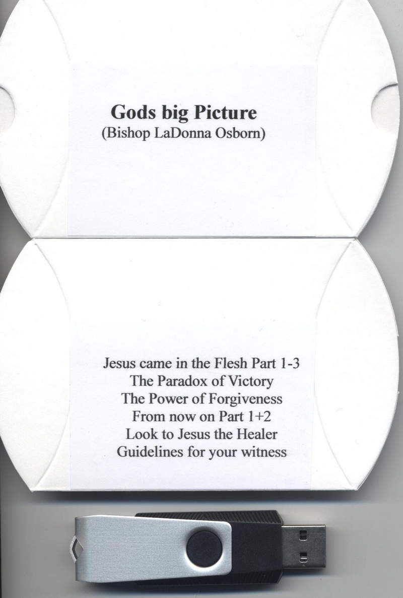 Predigten Deutsch - LaDonna C. Osborn: God´s Big Picture (Stick)