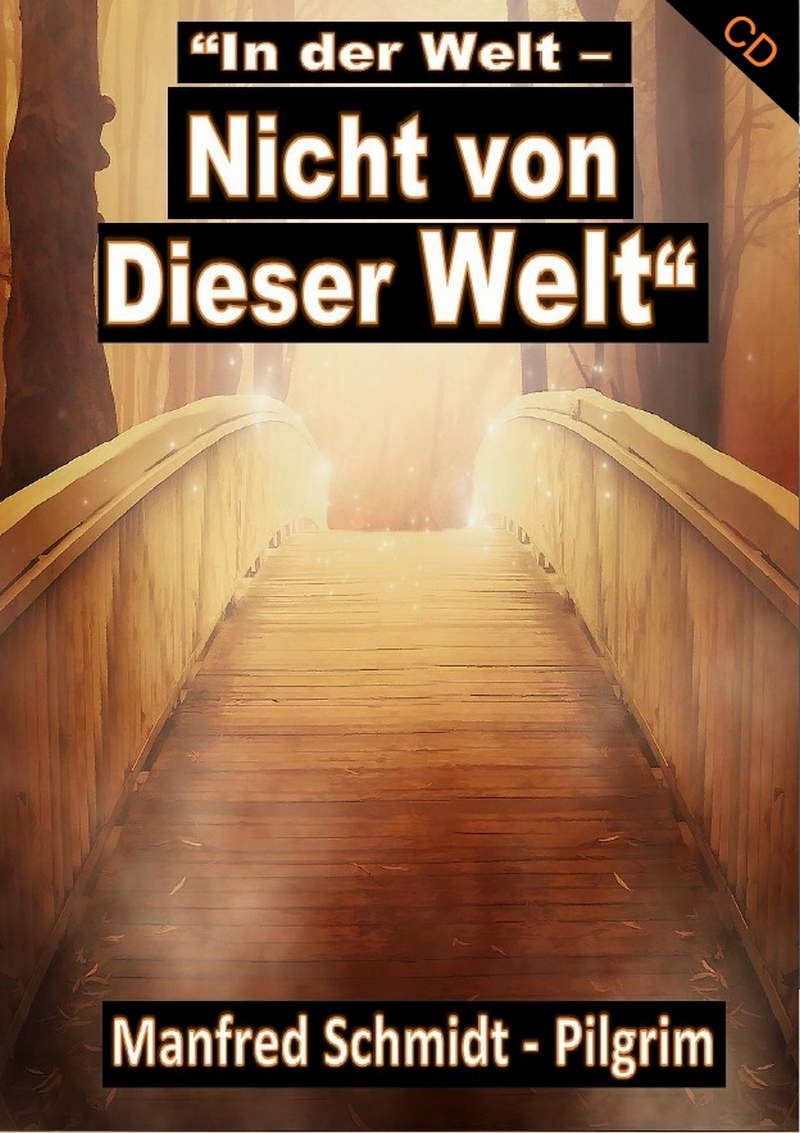 Musik CDs - Manfred Schmidt: In der Welt - Nicht von dieser Welt (CD)